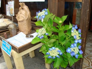 dsc00121