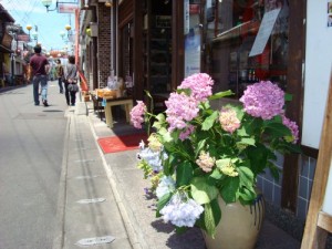 dsc006511