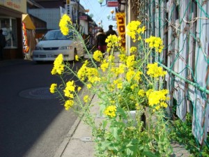 dsc01071