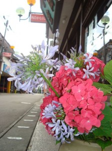 dsc015211