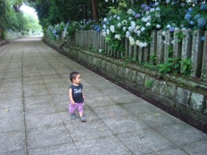 dsc015481