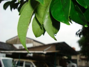dsc02375