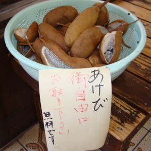 dsc02676